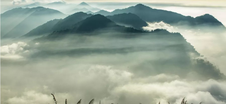 00015910.JPG (900×417)
